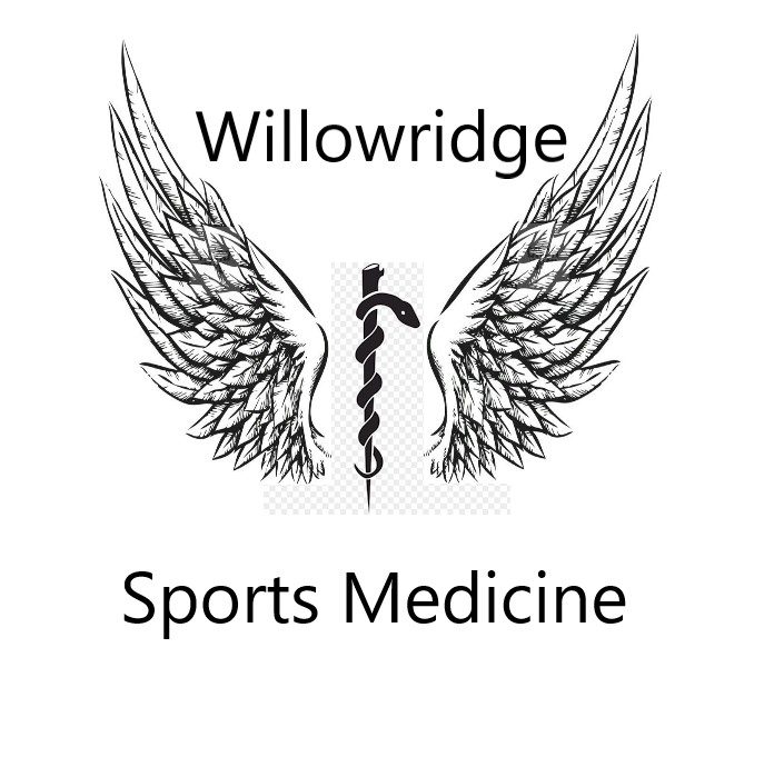  WHS logo